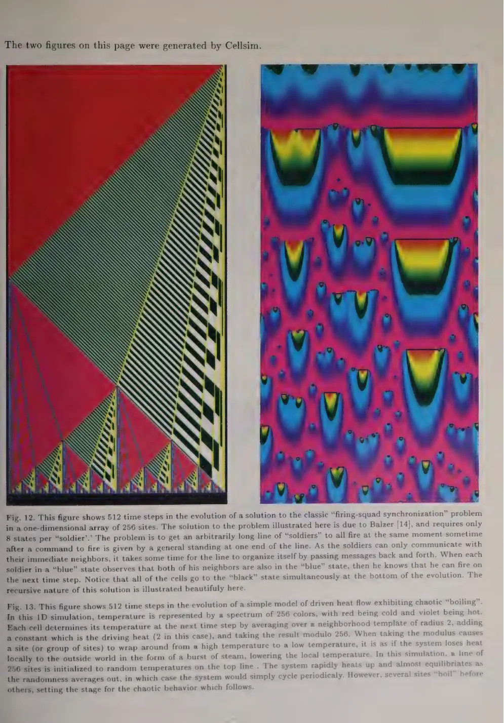 Primary-source scan of the Cellsim figures page from D. Hiebeler's CA simulators article.