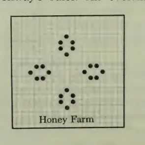 Garden-of-Eden pattern from The Recursive Universe