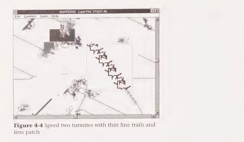 Rucker Figure 4-4 showing speed two turmites with thin line trails and a lens patch